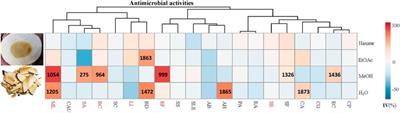 Bioassay-Guided Interpretation of Antimicrobial Compounds in Kumu, a TCM Preparation From Picrasma quassioides’ Stem via UHPLC-Orbitrap-Ion Trap Mass Spectrometry Combined With Fragmentation and Retention Time Calculation